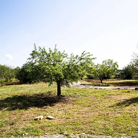 Trullo Nicolo *